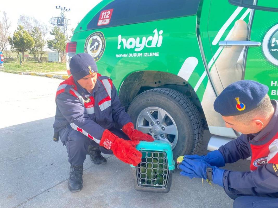 Yolcu otobüsünün bagajından öyle bir şey çıktı ki, jandarma ekipleri ne yapacağını bilemedi! 1